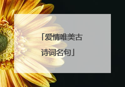 爱情唯美古诗词名句