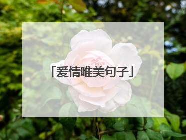 爱情唯美句子