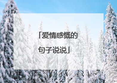 爱情感慨的句子说说