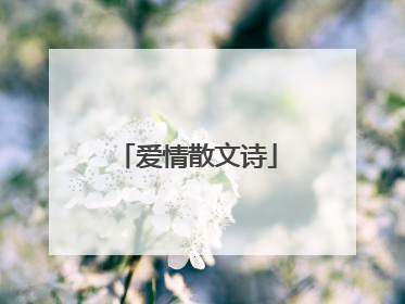 爱情散文诗