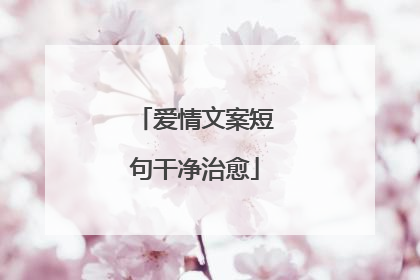 爱情文案短句干净治愈