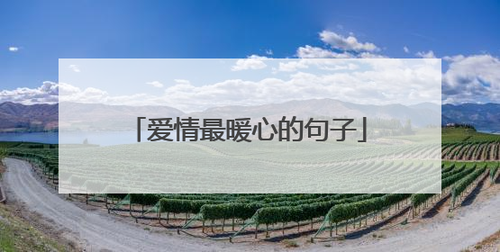 爱情最暖心的句子