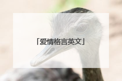 爱情格言英文