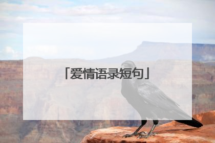 爱情语录短句