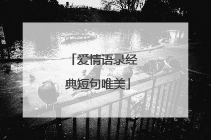 爱情语录经典短句唯美