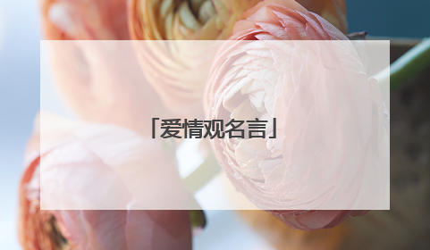 爱情观名言