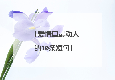 爱情里最动人的10条短句