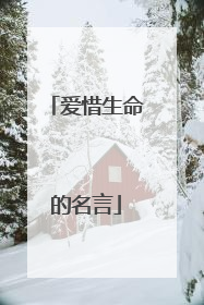 爱惜生命的名言