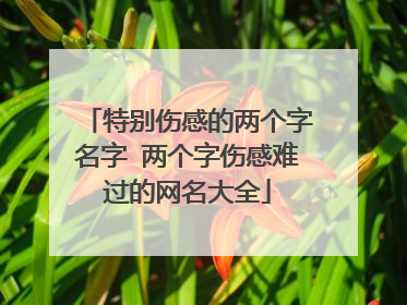 特别伤感的两个字名字 两个字伤感难过的网名大全