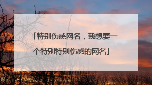 特别伤感网名,我想要一个特别特别伤感的网名