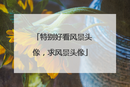 特别好看风景头像,求风景头像