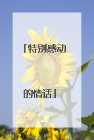 特别感动的情话