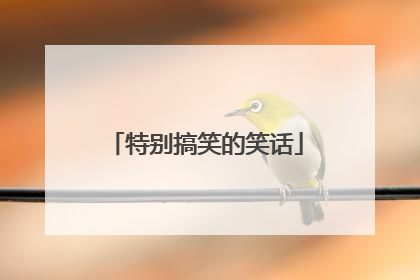 特别搞笑的笑话