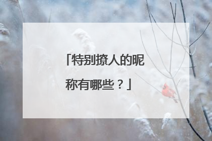 特别撩人的昵称有哪些?