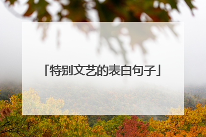 特别文艺的表白句子