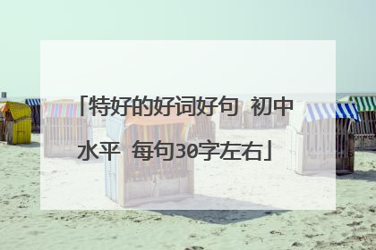特好的好词好句 初中水平 每句30字左右