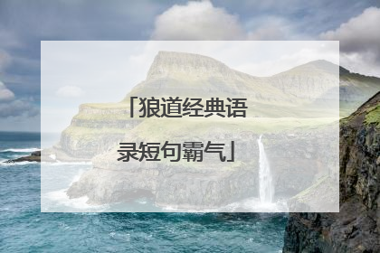 狼道经典语录短句霸气