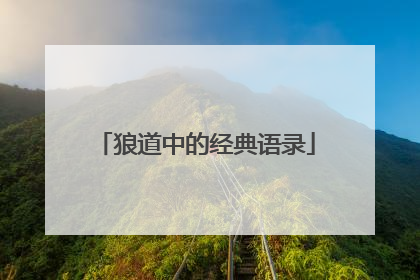 狼道中的经典语录