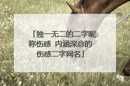 独一无二的二字昵称伤感 内涵深意的伤感二字网名