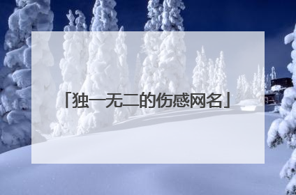 独一无二的伤感网名