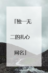 独一无二的扎心网名