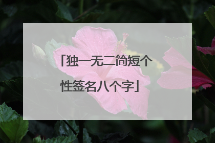 独一无二简短个性签名八个字
