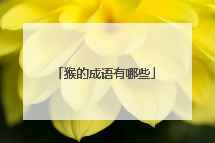 猴的成语有哪些