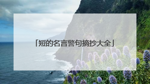 短的名言警句摘抄大全