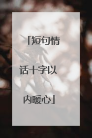 短句情话十字以内暖心