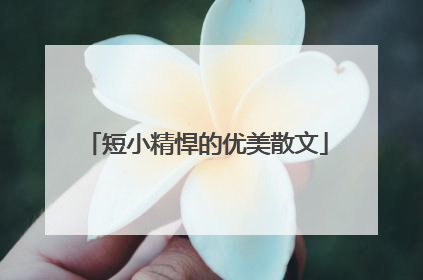 短小精悍的优美散文