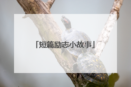 短篇励志小故事