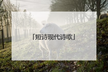 短诗现代诗歌