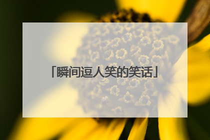 瞬间逗人笑的笑话
