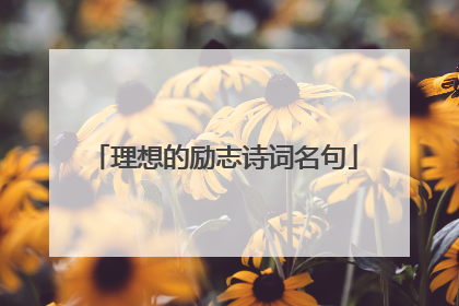理想的励志诗词名句