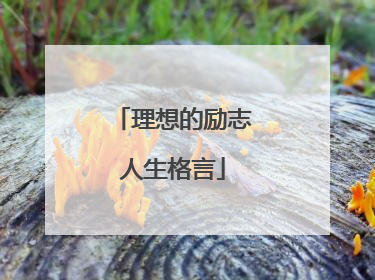 理想的励志人生格言