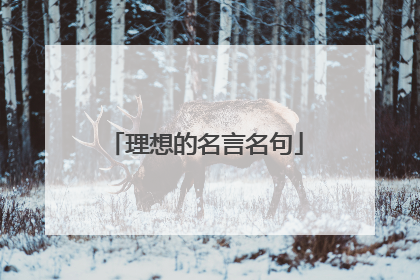 理想的名言名句