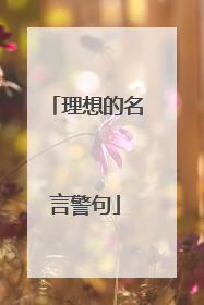 理想的名言警句