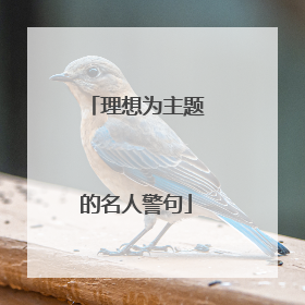 理想为主题的名人警句