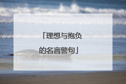 理想与抱负的名言警句