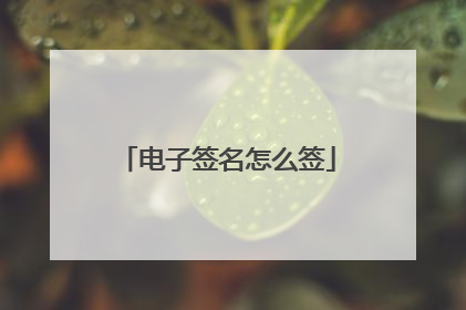 电子签名怎么签