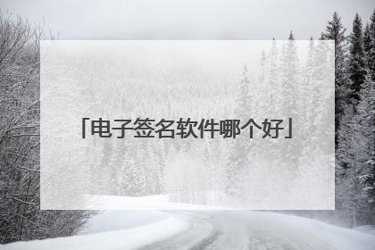 电子签名软件哪个好