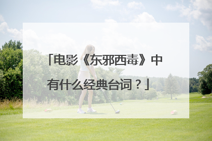电影《东邪西毒》中有什么经典台词?