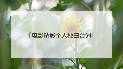 电影精彩个人独白台词