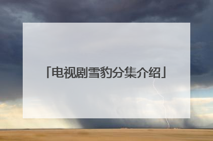 电视剧雪豹分集介绍