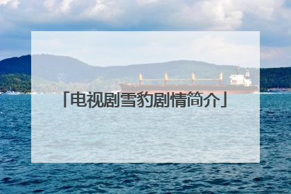 电视剧雪豹剧情简介
