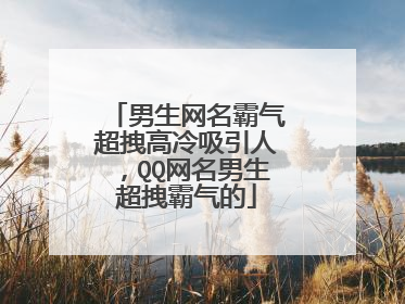 男生网名霸气超拽高冷吸引人,QQ网名男生超拽霸气的