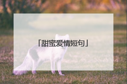 甜蜜爱情短句