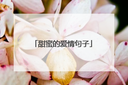 甜蜜的爱情句子