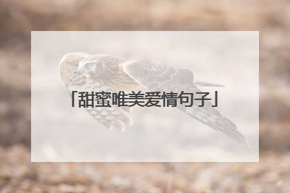 甜蜜唯美爱情句子