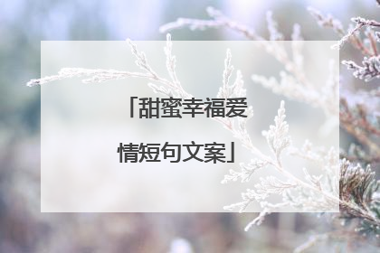 甜蜜幸福爱情短句文案